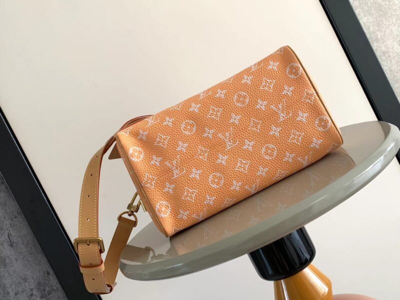 LOUIS VUITTON M24443 SIZE:25 x 15 x 15CM - 图片 5