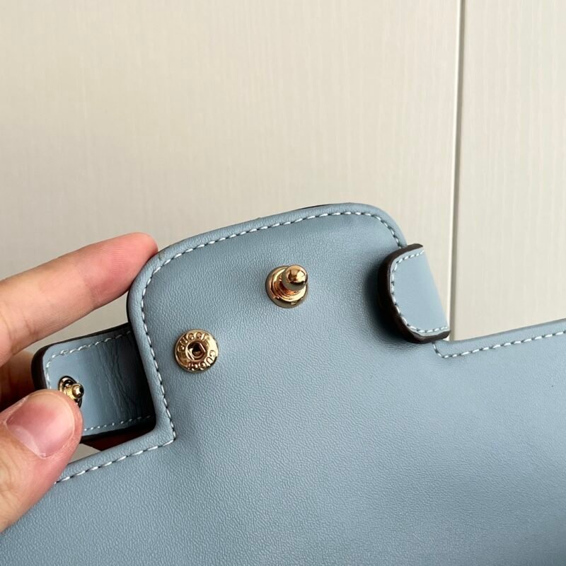GUCCI 815206 SIZE:22.6x12.7x5.6cm - 图片 8