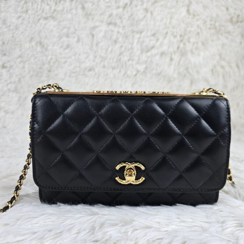 CHANEL 66814-1 SIZE:20*12*4.5CM - 图片 2