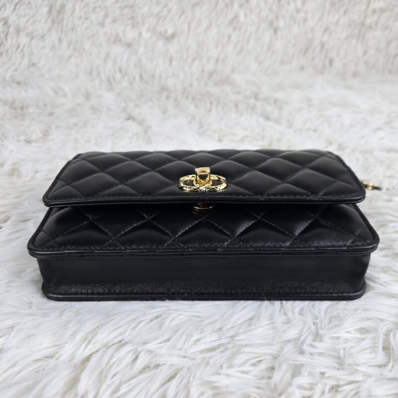 CHANEL 66814-1 SIZE:20*12*4.5CM - 图片 7