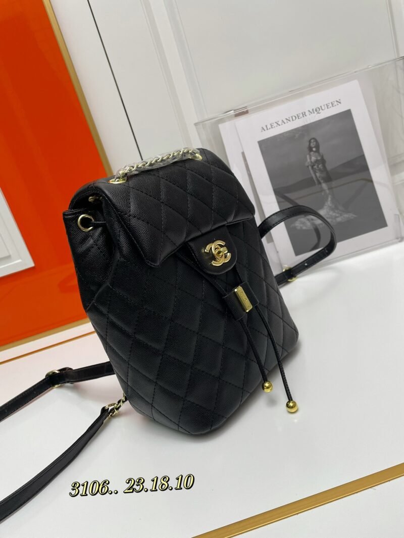 CHANEL 3106size SIZE:23X18X10cm - 图片 2