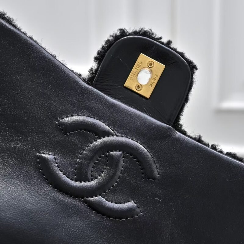 CHANEL 81151 SIZE:16×23.5×7.5cm - 图片 6