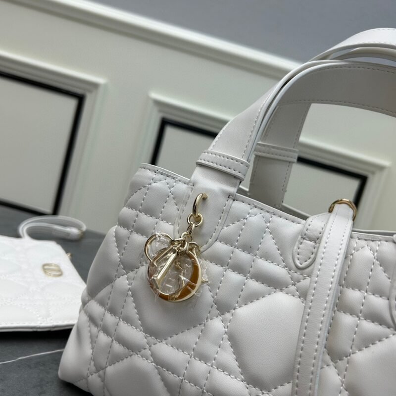 DIOR 1592 SIZE:28.5*19*21cm - 图片 4