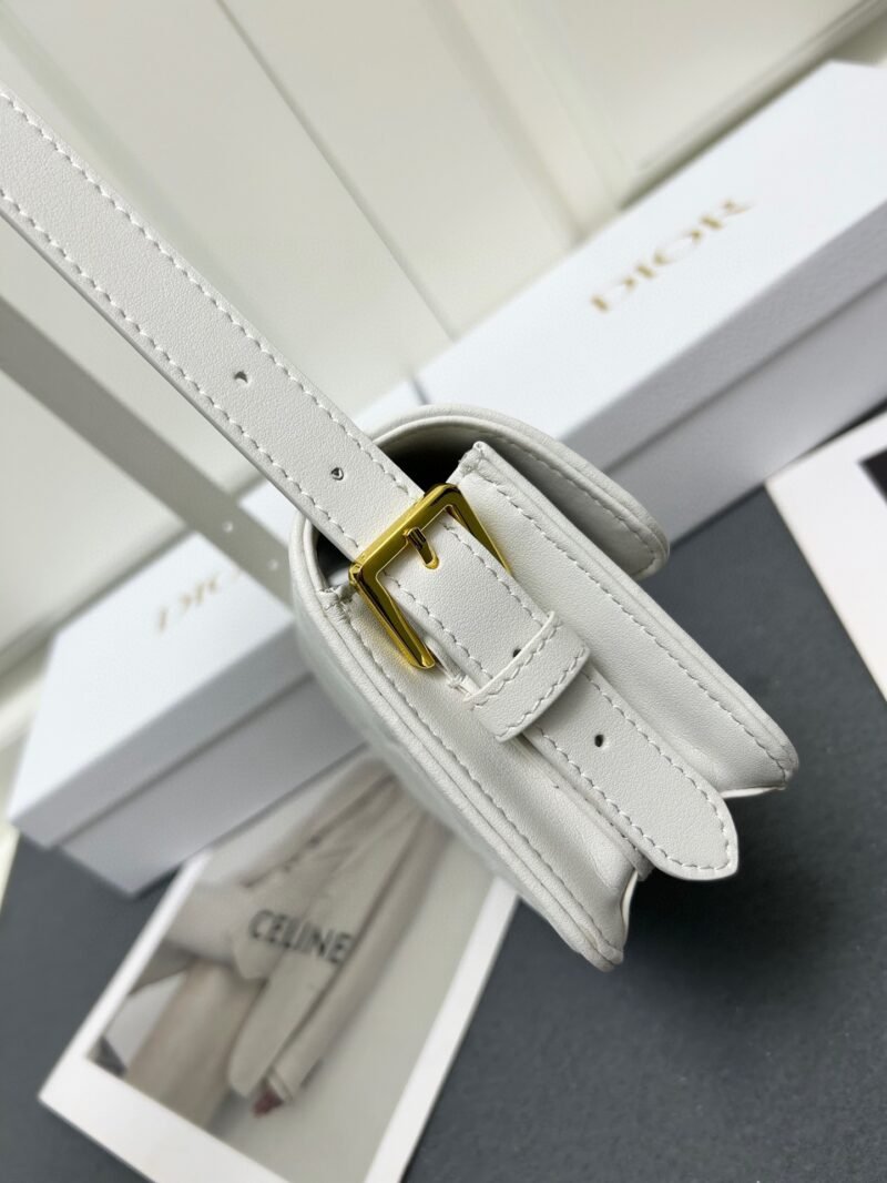 DIOR 0310 SIZE:18*6.5*11cm - 图片 4