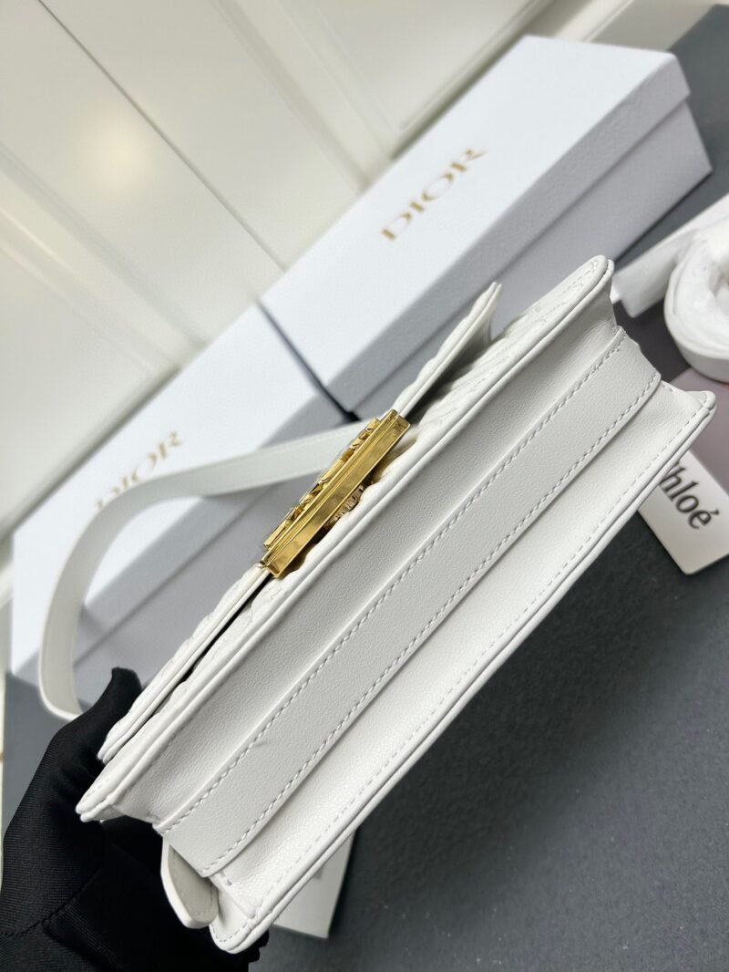 DIOR 0310 SIZE:18*6.5*11cm - 图片 6