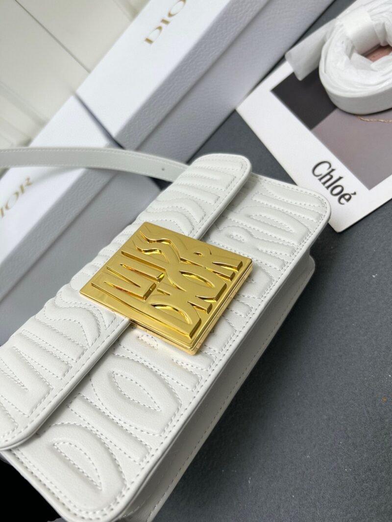 DIOR 0310 SIZE:18*6.5*11cm - 图片 7