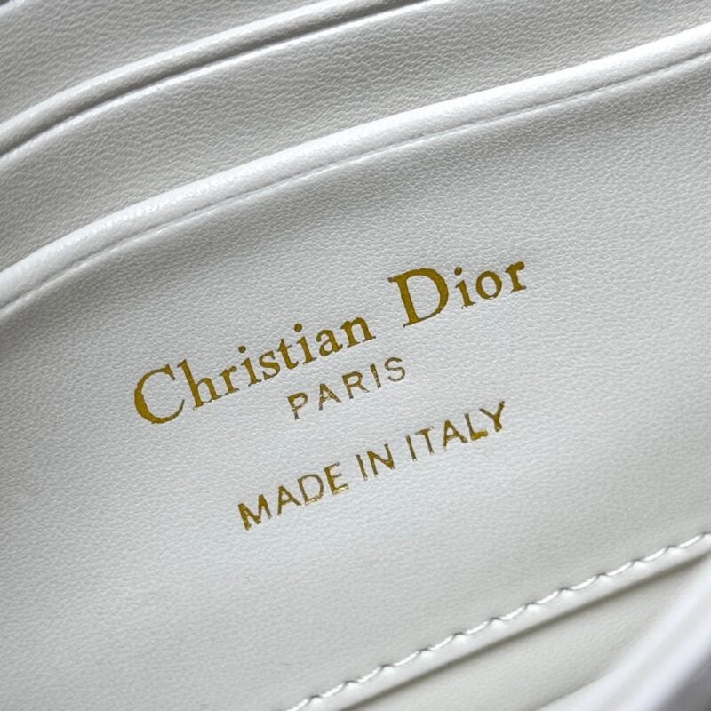 DIOR 𝗠𝗶𝘀𝘀 𝗗𝟭𝟬𝗥 SIZE:21*11.5*4.5CM - 图片 7