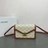 CELINE C113322 SIZE:22X15X5CM
