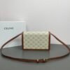 CELINE C113322 SIZE:22X15X5CM - 图片 2