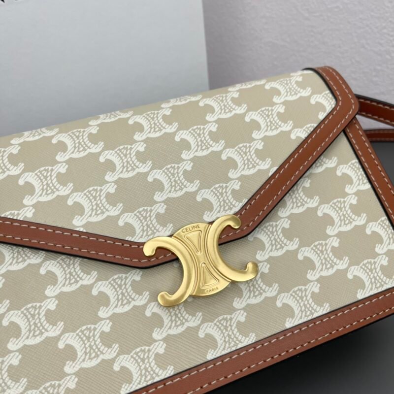 CELINE C113322 SIZE:22X15X5CM - 图片 3