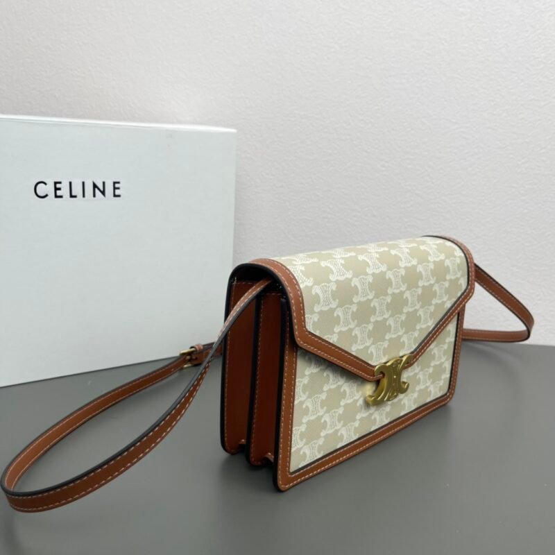 CELINE C113322 SIZE:22X15X5CM - 图片 5