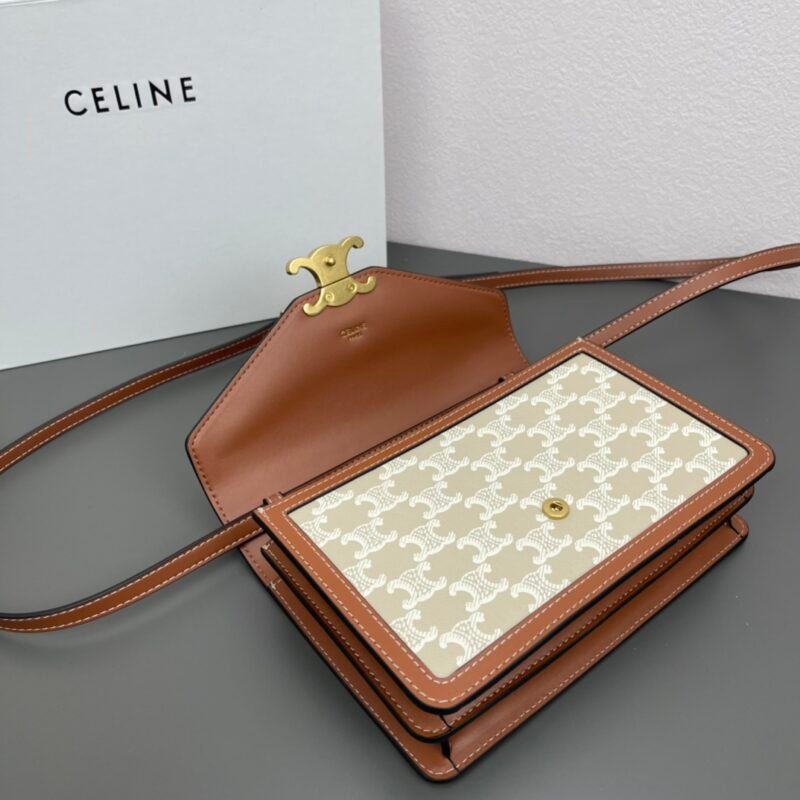CELINE C113322 SIZE:22X15X5CM - 图片 6