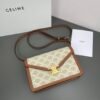CELINE C113322 SIZE:22X15X5CM - 图片 9