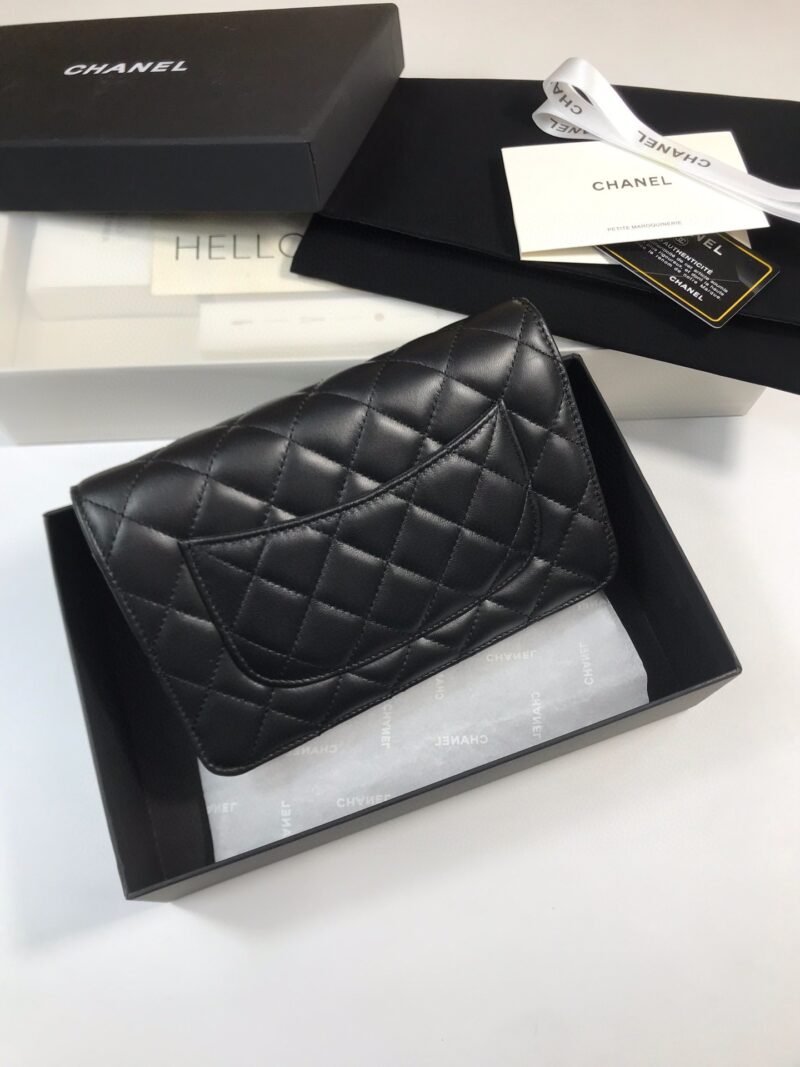 CHANEL 1794 SIZE:19X12.5CM - 图片 6