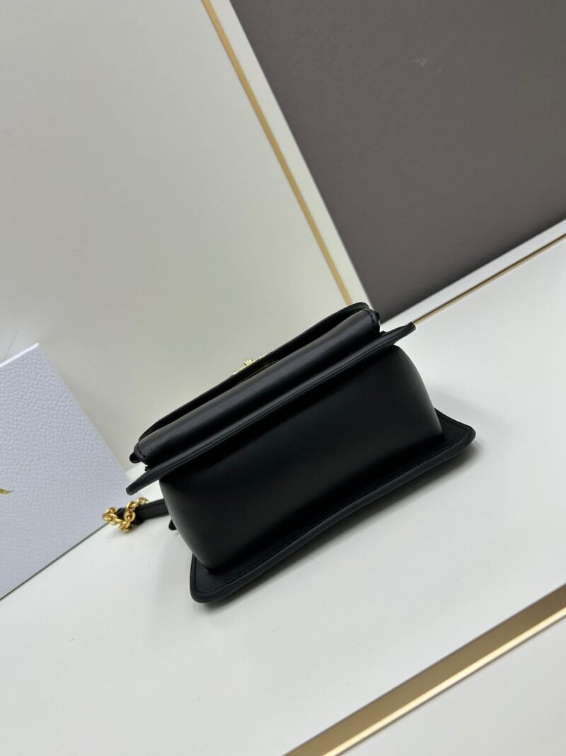 DIOR 0316 SIZE:17.5*13*7cm - 图片 5
