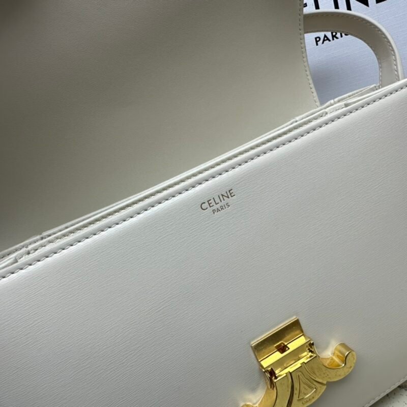 CELINE 187366 SIZE:22 X 16.5 X 7CM - 图片 8