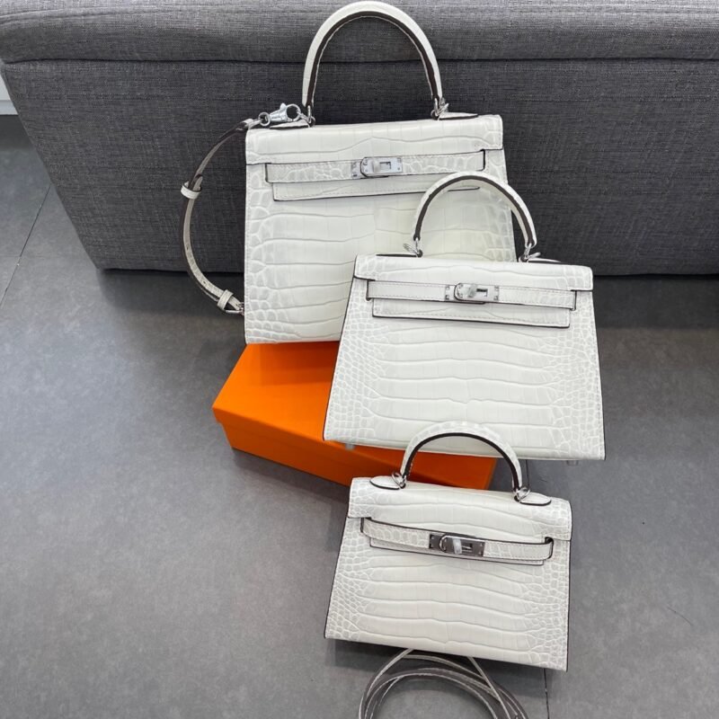 HERMES SIZE:24×22×19CM - 图片 7