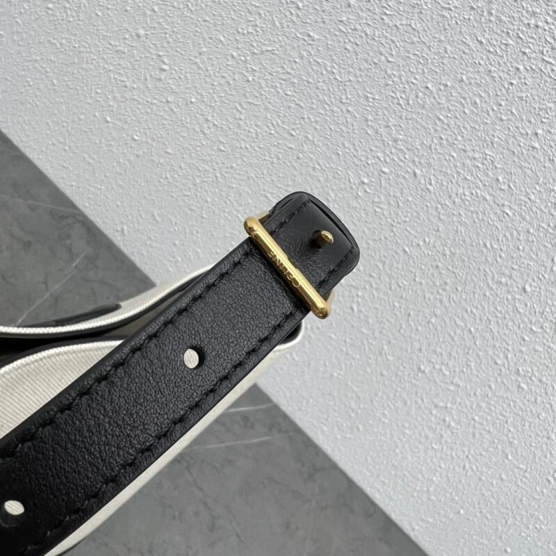 LOEWE 198243 SIZE:22×18×13CM - 图片 8