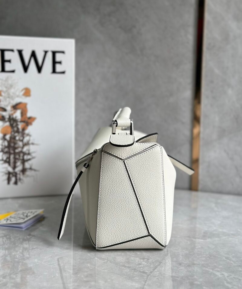 LOEWE 860 SIZE:24*10*14cm - 图片 5